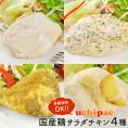 予約販売 内野家 国産素材のサラダチキン 4種お試しセット メール便送料無料 常温【3～4営業日以内に出荷】