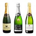 厳選シャンパーニュ飲み比べ3本セット［常温］【3～4営業日以内に出荷】