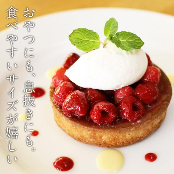 【送料無料】ケーキ屋さんやカフェと同じ味わいをご家庭で！ BRIOCHE PASQUIER［ブリオッシュ パスキエ］タルトレット・ラズベリー［1箱5個入り］【3～4営業日以内に出荷】03