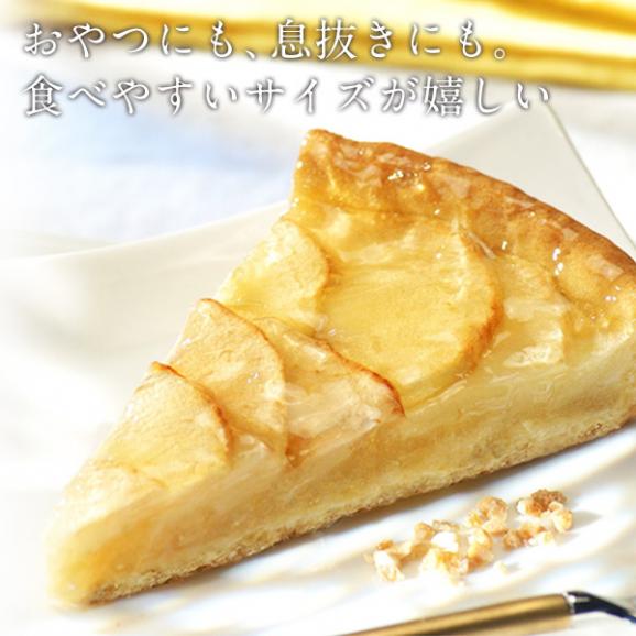 【送料無料】ケーキ屋さんやカフェと同じ味わいをご家庭で！ BRIOCHE PASQUIER［ブリオッシュ パスキエ］タルト・オ・ポム ホール［750g/10カット］【3～4営業日以内に出荷】03
