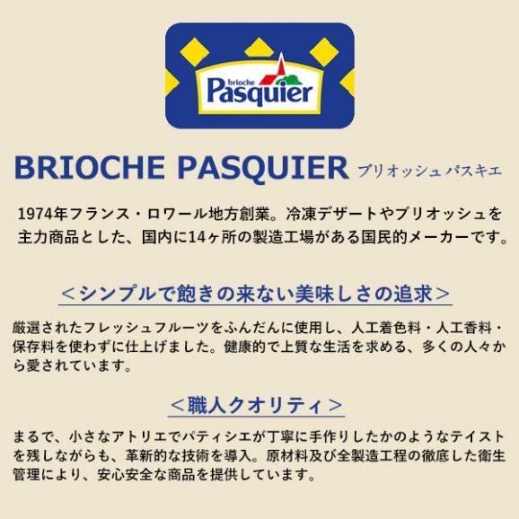 【送料無料】ケーキ屋さんやカフェと同じ味わいをご家庭で！ BRIOCHE PASQUIER［ブリオッシュ パスキエ］タルト・オ・ポム ホール［750g/10カット］【3～4営業日以内に出荷】06