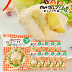 [内野家]【uchipac】国産素材のサラダチキン 長ネギ＆生姜×10袋[常温]【3～4営業日以内に出荷】[送料無料]