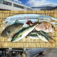 【送料無料】神戸垂水漁港より天然鮮魚を直送!!鮮魚詰め合わせセット 約4～5人前【12月5日出荷予定】【産地直送のため他商品と同梱不可】北海道・沖縄・離島は配送不可