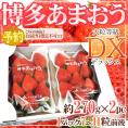 ［予約商品］福岡産 博多 あまおういちご 等級DX 1箱2パック入り（1パックあたり約270g）（デラックス）［冷蔵］［果物］【12月上旬より出荷開始】【送料無料】