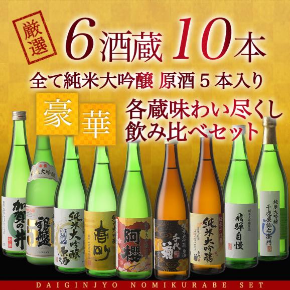 6酒蔵の全て純米大吟醸　飲み比べ720ml 10本組セット[原酒5本入り]【送料無料】［常温］【3～4営業日以内に出荷】02