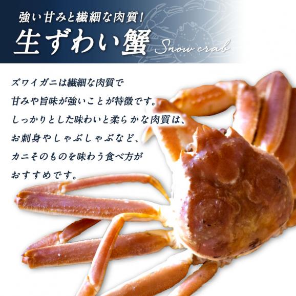 生ずわい蟹 ポーション 約500g 25本［冷凍のみ］【送料無料】【3～4営業日以内に出荷】02