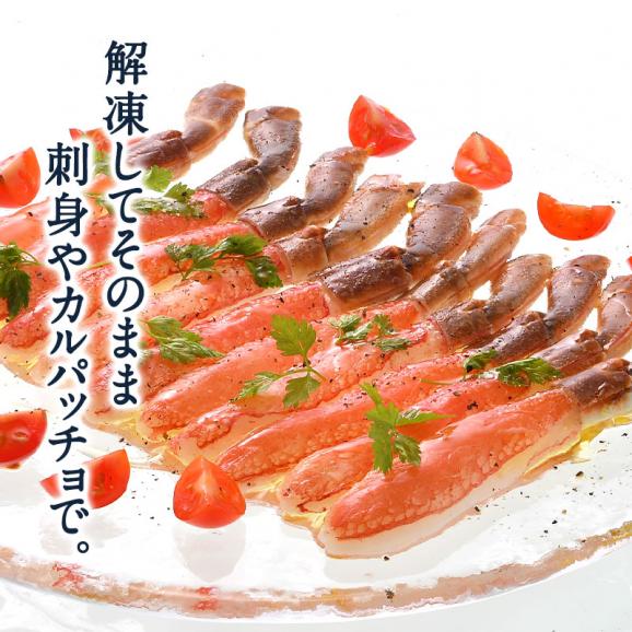 生ずわい蟹 ポーション 約500g 25本［冷凍のみ］【送料無料】【3～4営業日以内に出荷】05