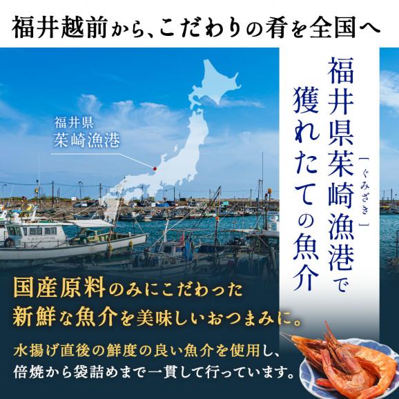 国産 海鮮おつまみ 碧の幸 ピリ辛ほたるいか 10g×5袋セット［メール便］【3〜4営業日以内に出荷】【送料無料】04