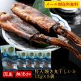 国産 海鮮おつまみ 碧の幸 肝入り焼き丸干しいか 13g×5袋セット［メール便］【3〜4営業日以内に出荷】【送料無料】