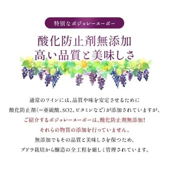 11月21日(木)解禁!> 数量限定 ボジョレー ヌーボー 2024 3本 11月21日(木)解禁!> 数量限定 ボジョレー ヌーボー 2024 3本