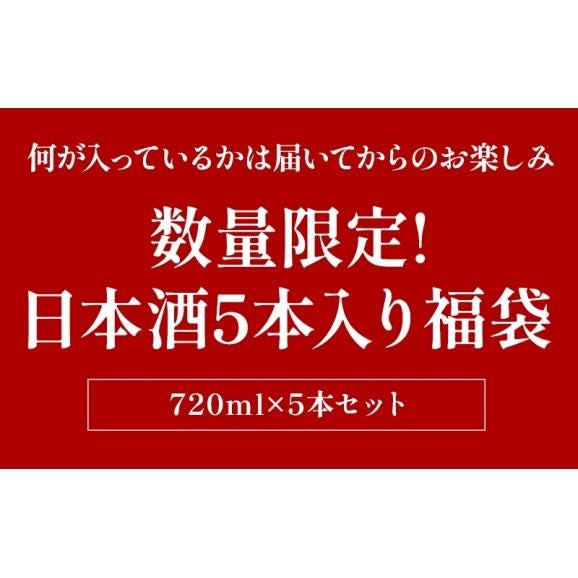 日本酒アウトレット福袋 720ml×5本セット【1〜2営業日以内に出荷】［常温のみ］【送料無料】日本酒 酒 SAKE アウトレット 訳あり 大吟醸［月間優良ショップ受賞］02