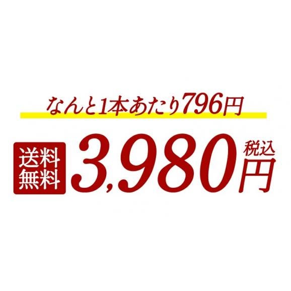 日本酒アウトレット福袋 720ml×5本セット【1〜2営業日以内に出荷】［常温のみ］【送料無料】日本酒 酒 SAKE アウトレット 訳あり 大吟醸［月間優良ショップ受賞］04