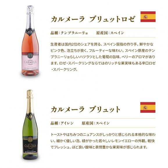 【送料無料】 スパークリングワイン 辛口 オーガニック ロゼ入り12本セット[WT82]【3〜4営業日以内に出荷】05