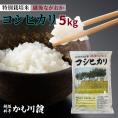 新潟 長岡産 コシヒカリ 5キロ 令和6年度産 米 こしひかり 新潟県産 長岡 越後 白米 特別栽培米 新潟米 ごはん 白飯 精米  5kg 2024年