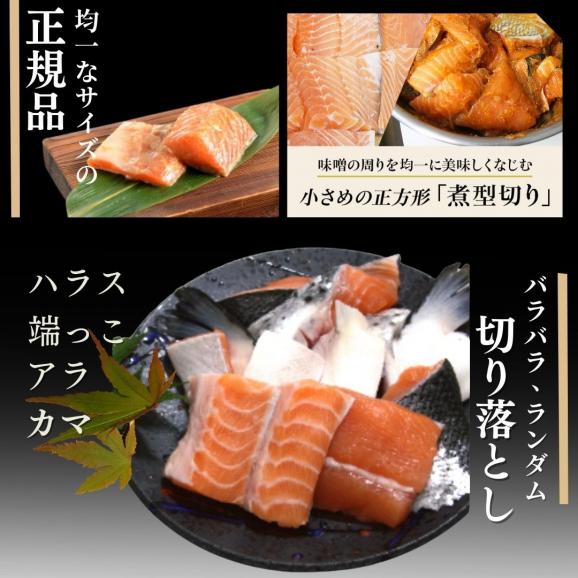 訳あり OUTLET 美味極上 新潟 老舗料亭の味 【鮭 の越後味噌漬 切り落とし】500g 送料無料 サーモン さけ 鮭 ギフト 冷凍 ごはんのお供 05