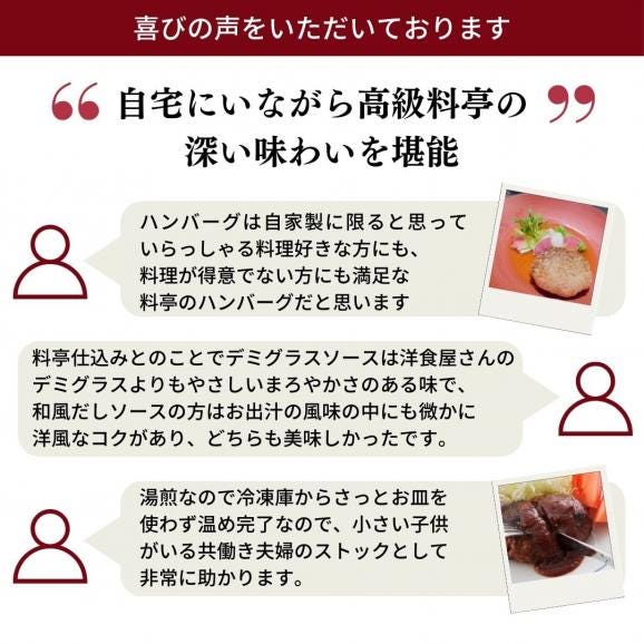 雪国越後 【料亭 ハンバーグ セット 】 6個 和風だしハンバーグデミグラスソース ハンバーグステーキ 送料無料  お取り寄せ 和風ハンバーグ 新潟 ミシュラン掲載 グルメ にいがた和牛 長岡ポーク 03