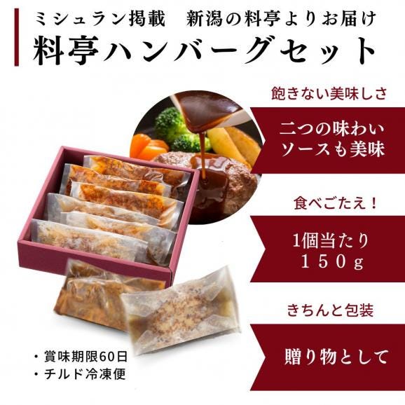 雪国越後 【料亭 ハンバーグ セット 】 6個 和風だしハンバーグデミグラスソース ハンバーグステーキ 送料無料  お取り寄せ 和風ハンバーグ 新潟 ミシュラン掲載 グルメ にいがた和牛 長岡ポーク 04