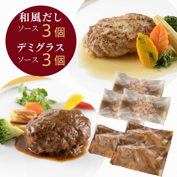 雪国越後 【料亭 ハンバーグ セット 】 6個 和風だしハンバーグデミグラスソース ハンバーグステーキ 送料無料  お取り寄せ 和風ハンバーグ 新潟 ミシュラン掲載 グルメ にいがた和牛 長岡ポーク 05