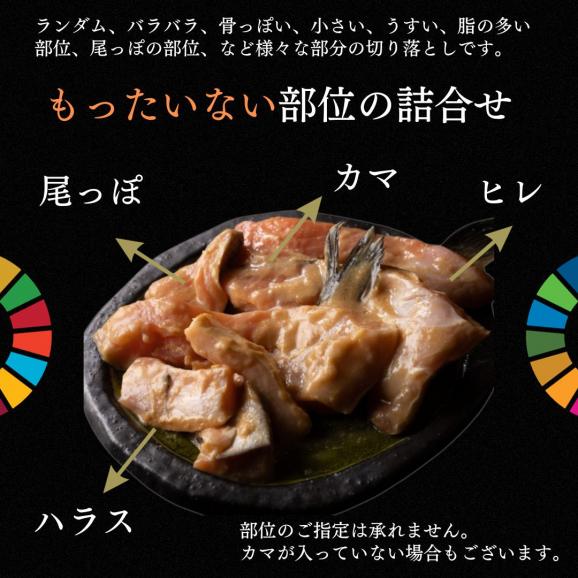 佐渡ゴールドサーモン越後味噌漬 訳あり OUTLET 切り落とし 新潟 老舗料亭の味 250g 送料無料 サーモン さけ 鮭 おかず 冷凍 切落とし 02