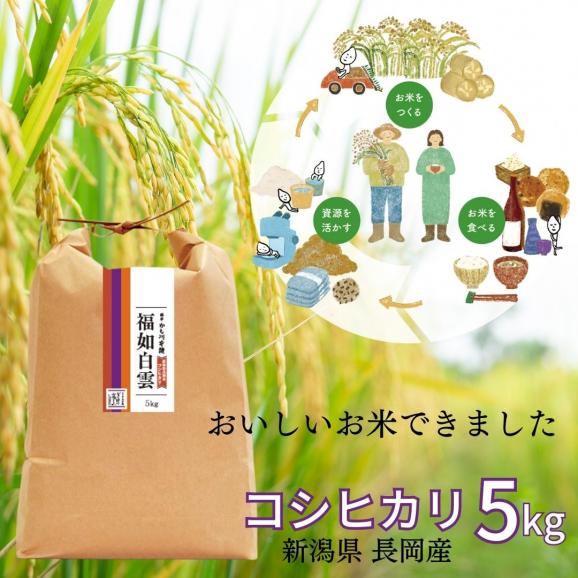 新潟 長岡産 コシヒカリ 福如白雲5キロ 令和6年度産 | 米 こしひかり 新潟県産 長岡 越後 白米 特別栽培米 新潟米 ごはん 精米 料亭かも川館 ミシュラン新潟05