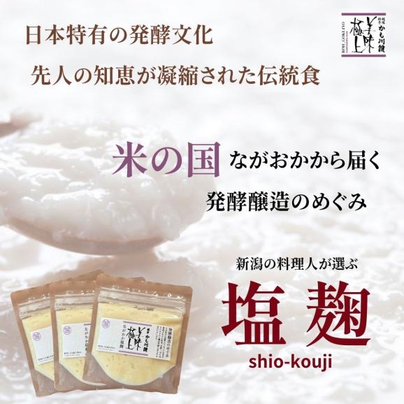 発酵醸造のめぐみ  ながおか 塩麹  120g | ネコポス便 新潟県産 国産 塩こうじ 麹こうじ 米麹 米 米こうじ 酒精 新潟 塩味 送料無料 調味料 万能調味料 高級 塩 こうじ 03