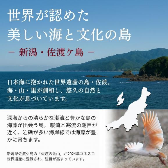 料亭の板長が選んだ 佐渡ケ塩 手作り 藻塩 200g | 新潟県産 国産 塩 藻 佐渡 海洋深層水 手作り 佐渡ヶ島 海水 食塩 深海 佐渡海洋深層水 ミネラル天然 海水 平釜 新潟 菊池商店 料亭 03