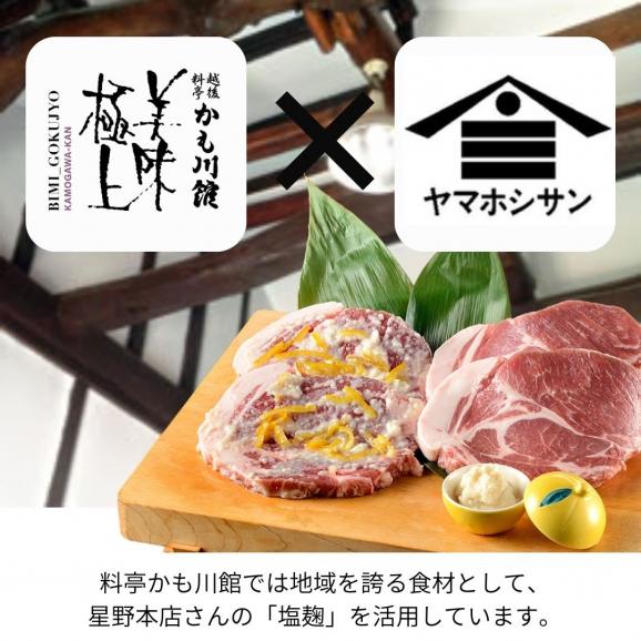 発酵醸造のめぐみ  ながおか 塩麹  120g | ネコポス便 新潟県産 国産 塩こうじ 麹こうじ 米麹 米 米こうじ 酒精 新潟 塩味 送料無料 調味料 万能調味料 高級 塩 こうじ 04