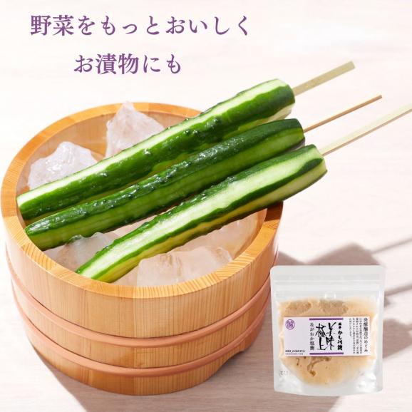 発酵醸造のめぐみ  ながおか 塩麹  120g | ネコポス便 新潟県産 国産 塩こうじ 麹こうじ 米麹 米 米こうじ 酒精 新潟 塩味 送料無料 調味料 万能調味料 高級 塩 こうじ 06