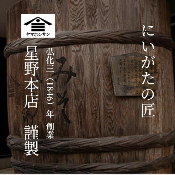 発酵醸造のめぐみ  ながおか 塩麹  120g 2パック | ネコポス便 新潟県産 国産 塩こうじ 麹こうじ 米麹 米 米こうじ 酒精 新潟 塩味 送料無料 調味料 万能調味料 高級 塩 こうじ 02
