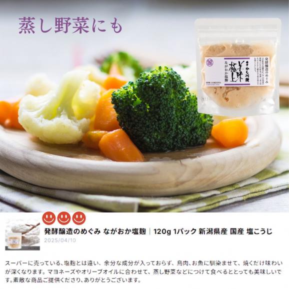 発酵醸造のめぐみ  ながおか 塩麹  120g 2パック | ネコポス便 新潟県産 国産 塩こうじ 麹こうじ 米麹 米 米こうじ 酒精 新潟 塩味 送料無料 調味料 万能調味料 高級 塩 こうじ 05