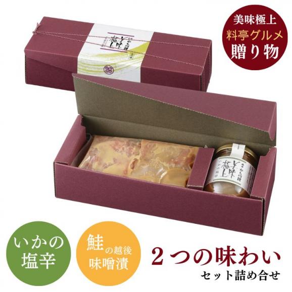 美味極上 料亭の強肴 セット 佐渡ゴールドサーモン越後味噌漬 4切・いかの塩辛 1本| 詰合せ 化粧箱入り 鮭 さけ サーモン 漬け魚 魚 スルメイカ 塩辛 国産05