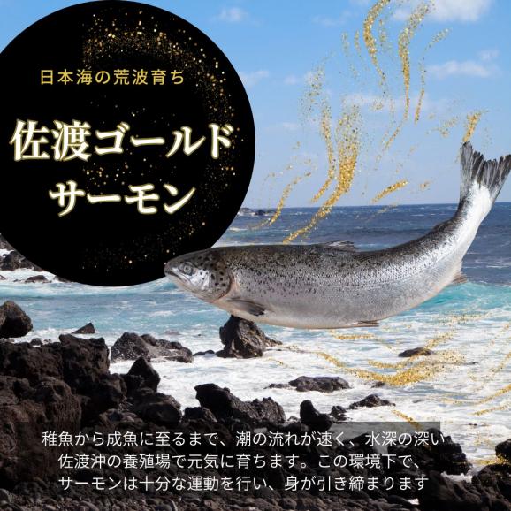老舗料亭の味 佐渡ゴールドサーモン越後味噌漬 4切 簡易包装 自家用 お試し サーモン さけ 鮭 ギフト 国産 切り身 焼き魚 海鮮 漬け魚 ごはんのお供 おかず02