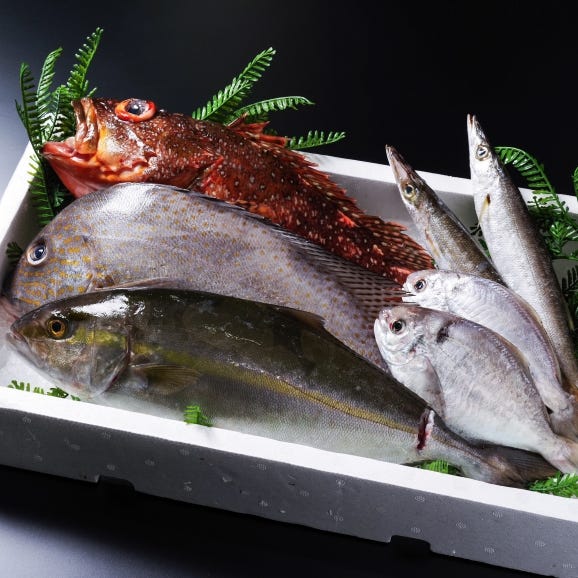 《高級魚》季節のおまかせ鮮魚セット（1～2種）（3枚おろしまで無料対応可）01