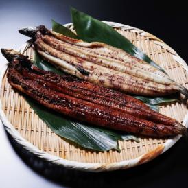 《愛知県産》鰻の蒲焼or白焼き2尾セット《大サイズ1尾約230g～250g前後》