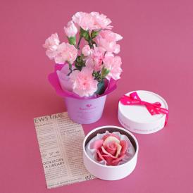 母の日♡サプライズのお花のチョコレートと鉢花♡【5月3日～5月12日お届け】ペタル・ルージュ&カーネーション鉢