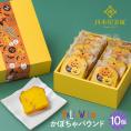 ハロウィン かぼちゃ パウンド ギフト箱入り 10個セット