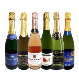 スパークリングワイン6本セット 辛口 sparkling wine set