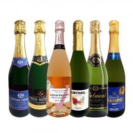 スパークリングワイン6本セット 辛口 sparkling wine set