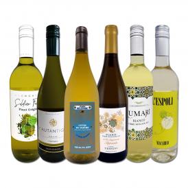 当店でも人気の高い各国の美味しい白ワインだけを超厳選!