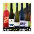 ぜ～んぶ当店独自輸入☆これは楽しい☆いまどきドイツワイン飲み比べ5本セット!!【クール便別途 税別300円】
