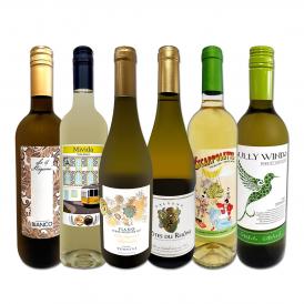 送料無料 当店厳選！特大感謝の大満足白ワイン 6本セット 750ml 辛口 第223弾