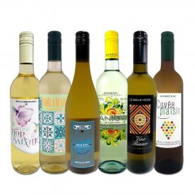 送料無料 当店厳選！特大感謝の大満足白ワイン 6本セット 750ml 辛口 第241弾