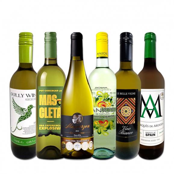 送料無料 当店厳選!特大感謝の大満足白ワイン 6本セット 750ml 辛口 第242弾01
