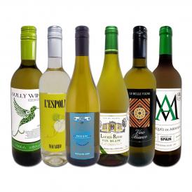 送料無料 当店厳選！特大感謝の大満足白ワイン 6本セット 750ml 辛口 第243弾