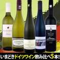 ぜ～んぶ当店独自輸入☆これは楽しい☆いまどきドイツワイン飲み比べ5本セット!!【送料無料!!★限定40セット限り!!】