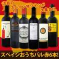 スペイン全土の地ワイン満喫!!<br>スペインおうちバル赤ワイン6本セット!!【送料無料】赤ワイン好きのために特別に厳選！ぜ～んぶ京橋ワイン独占輸入！【クール便別途 税別300円】