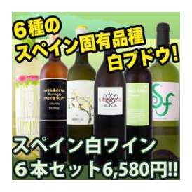 【送料無料!!】スペインおうちバル白ワイン6本セット6580円!!【クール便別途 税別300円】