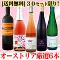【送料無料】オーストリアワイン大使おススメ★オーストリア大満喫5本セット！