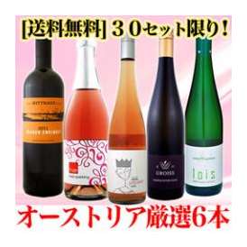 【送料無料】オーストリアワイン大使おススメ★オーストリア大満喫5本セット！