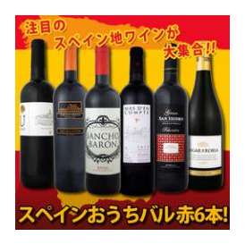 【送料無料】赤ワイン好きのために特別に厳選！ぜ～んぶ京橋ワイン独占輸入！スペイン全土の地ワイン満喫!!スペインおうちバル赤ワイン6本セット!!